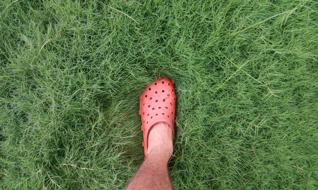 crocs